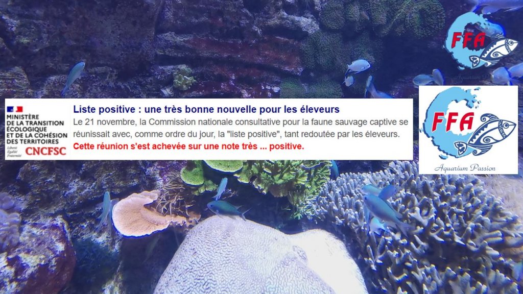 ProNaturA-France - Aquariophilie  Liste positive : une très bonne nouvelle pour les éleveurs