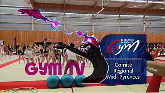 Gymnastique: le comité Midi-Pyrénées organisait le FESTI CLUBS LOISIR événement dédié à la Gym Pour Tous le 19 novembre .