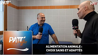 TV Locale NTV - Alimentation Animale : Choix Sains et Adaptés