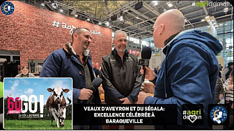 TVLocale NTV-Média - Agridemain avec Veaux d’Aveyron et du Ségala l'Excellence Célébrée à Baraqueville